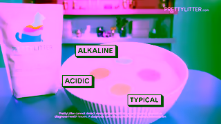 PrettyLitter Martha Meets PrettyLitters Creator PrettyLittercom Ad Commercial Brand Imagery Photoshoot 2