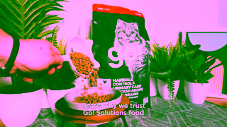 Go! Solutions Pet Food INF 2 1920x1080 6s Ad Commercial Brand Imagery Photoshoot 1