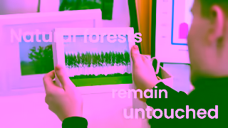 Double A Paper DoubleA 06 PAPERTREE V4 16x9 Ad Commercial Brand Imagery Photoshoot 1