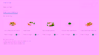 Malaysia Airlines ChefonCall Ad Commercial Brand Imagery Photoshoot 0