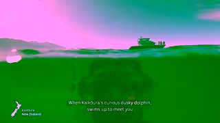 Tourism New Zealand If You Seek What Lies Beneath Ad Commercial Brand Imagery Photoshoot 0