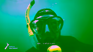 Tourism New Zealand If You Seek What Lies Beneath Ad Commercial Brand Imagery Photoshoot 1