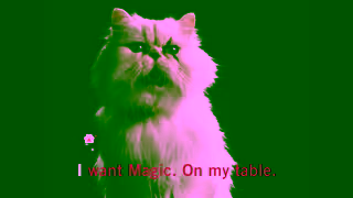 Magic The Gathering MTG FDN Buy Meow EN EU PEGI Ad Commercial Brand Imagery Photoshoot 0
