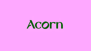 AcornTV Give The Gift Of Acorn TV Ad Commercial Brand Imagery Photoshoot 2