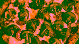 Australian Mushrooms Get More Mmmm Pizza 6 Ad Commercial Brand Imagery Photoshoot 0