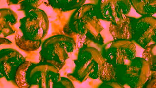 Australian Mushrooms Get More Mmmm Pizza 6 Ad Commercial Brand Imagery Photoshoot 1