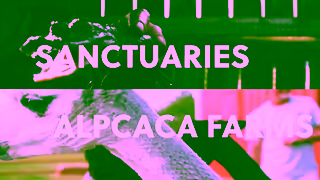 Harvest Hosts Wake Up to Wonder with Harvest Hosts Ad Commercial Brand Imagery Photoshoot 2