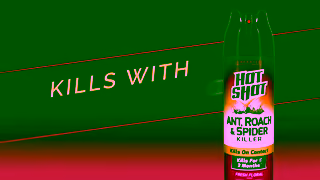 Hot Shot Insecticides Hot Shot Ant Roach Spider Killer Ad Commercial Brand Imagery Photoshoot 1