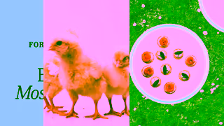 Fortnum & Mason Fortnum Mason Easter 2025 Ad Commercial Brand Imagery Photoshoot 0