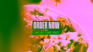 Zambrero Zambrero NEW Classic Beef Mince Available for a limited time only Ad Commercial Brand Imagery Photoshoot 2