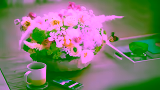 Daikin 30s Daikin TVC  Experience your haven this summer Ad Commercial Brand Imagery Photoshoot 2