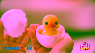 ZURU Toys How many will she hatch Ad Commercial Brand Imagery Photoshoot 1