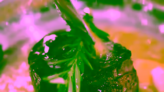 Cuisinart Cuisinart MultiClad Pro Triple Ply Stainless Cookware 12 Piece Set Ad Commercial Brand Imagery Photoshoot 1