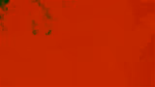 ACE Hardware Zinsser Primer at your local Ace Ad Commercial Brand Imagery Photoshoot 0