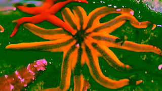 Explore Seattle Southside A Guide to Family Microadventures in a Few Microseconds Ad Commercial Brand Imagery Photoshoot 1