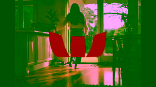 Westpac BRDWBCB000 ITALW Home Loans DOG15 PROG VID 15 second video YouTube 16x9 V2 Ad Commercial Brand Imagery Photoshoot 2