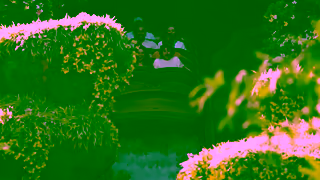 Visit Orlando Embrace the unplanned moments Ad Commercial Brand Imagery Photoshoot 0