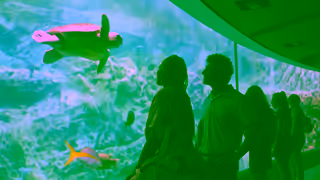 Visit Orlando Embrace the unplanned moments Ad Commercial Brand Imagery Photoshoot 1