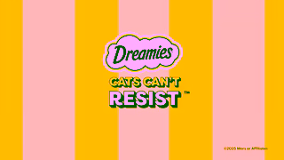 Dreamies Treats Dreamies Cats Cant Resist Ad Commercial Brand Imagery Photoshoot 2