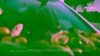 Allstate Mayhem Bee 30 Ad Commercial Brand Imagery Photoshoot 2