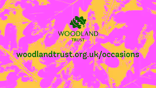 The Woodland Trust Woodland Trust YouTube Ad Dedicate trees and woodland today Ad Commercial Brand Imagery Photoshoot 2