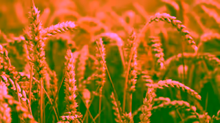 Contiki Live The Legend Export 30s AUS Ad Commercial Brand Imagery Photoshoot 1