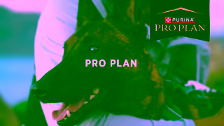 Purina Pro Plan Fuel your incredible life together Ad Commercial Brand Imagery Photoshoot 0