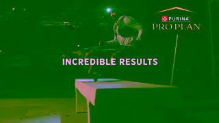 Purina Pro Plan Fuel your incredible life together Ad Commercial Brand Imagery Photoshoot 1