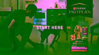 Purina Pro Plan Fuel your incredible life together Ad Commercial Brand Imagery Photoshoot 2