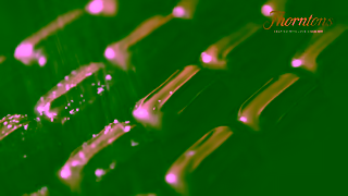 Thorntons UNIQUELY THORNTONS 6S Ad Commercial Brand Imagery Photoshoot 1