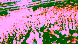 LIVE NATION System Of A Down Deftones 2025 Ad Commercial Brand Imagery Photoshoot 2