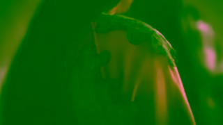 Canadian Armed Forces Cest fait pour toi Ad Commercial Brand Imagery Photoshoot 1