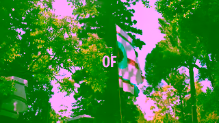 WOMADelaide WOMADelaide 2025 15s TVC A Ad Commercial Brand Imagery Photoshoot 0