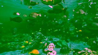 Disney Parks Discover Magic in Hawaii Ad Commercial Brand Imagery Photoshoot 0