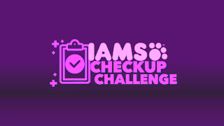 IAMS IAMS CUC DOG ADVANCED 06 16x9 Ad Commercial Brand Imagery Photoshoot 0