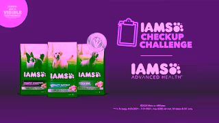 IAMS IAMS CUC DOG ADVANCED 06 16x9 Ad Commercial Brand Imagery Photoshoot 2