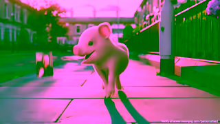 Moonpig UK YT Vday 24 TF Lan 30s Ad Commercial Brand Imagery Photoshoot 1