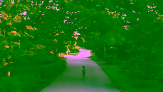 OURA Commit to Your Body with Oura Ring Ad Commercial Brand Imagery Photoshoot 0