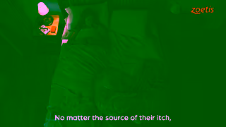 Zoetis CAEN Itchy Dog Ad Commercial Brand Imagery Photoshoot 0