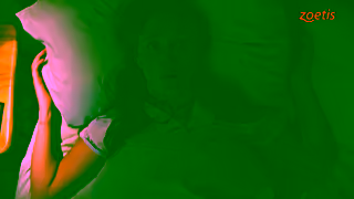 Zoetis CAEN Itchy Dog Ad Commercial Brand Imagery Photoshoot 1