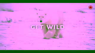 Air Canada CANADA 30s 1920x1080 EN Ad Commercial Brand Imagery Photoshoot 2