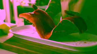 Harris Farm Markets What Makes A Harris Farm Christmas Special Harris Farm Markets Ad Commercial Brand Imagery Photoshoot 1