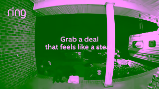 Ring.com Ring BF Dog Steals Parcel On Now Phase 1 Ad Commercial Brand Imagery Photoshoot 0