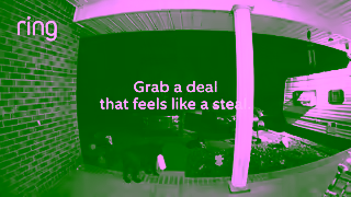 Ring.com Ring BF Dog Steals Parcel On Now Phase 1 Ad Commercial Brand Imagery Photoshoot 1