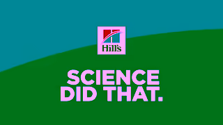 Hill's Hills ANZ Science Diet Science Did ThatCatPetbarn15 Ad Commercial Brand Imagery Photoshoot 2