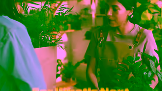 Western Union Freedom to focus on whats next Ad Commercial Brand Imagery Photoshoot 2