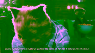 Comparethemarket Leak Compare the Market Ad Commercial Brand Imagery Photoshoot 1