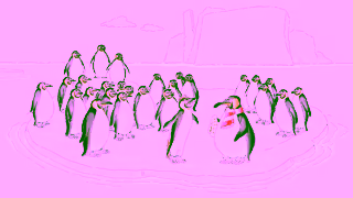 Red Bull RBAUPenguins30s Ad Commercial Brand Imagery Photoshoot 0