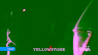 Stan Yellowstone S5B V2 DL 15 Ad Commercial Brand Imagery Photoshoot 1