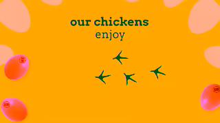 Eggland's Best Egglands Best Free Range Pasture Raised Eggs Get More With Egglands Best Ad Commercial Brand Imagery Photoshoot 0